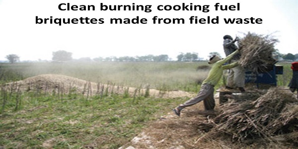 Biomass briquettes from field waste